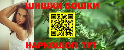 индика Дубна