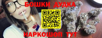 индика Дубна