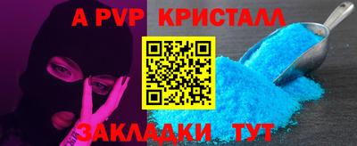 индика Дубна