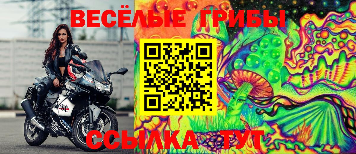 даркнет сайт  Псилоцибиновые грибы Magic Shrooms  Грозный  Вход с VPN  Псилоцибиновые грибы Psilocybe 